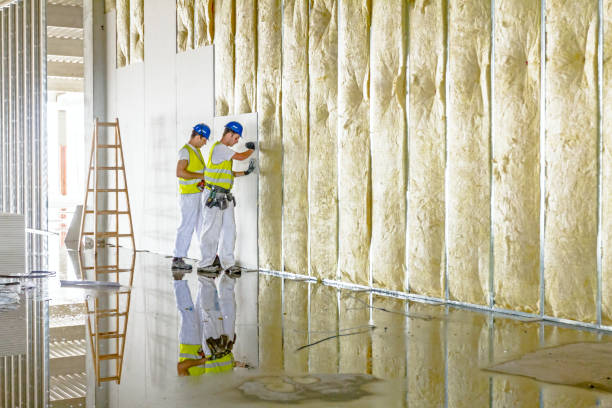 Best Insulation Maintenance and Repair in Icard, NC